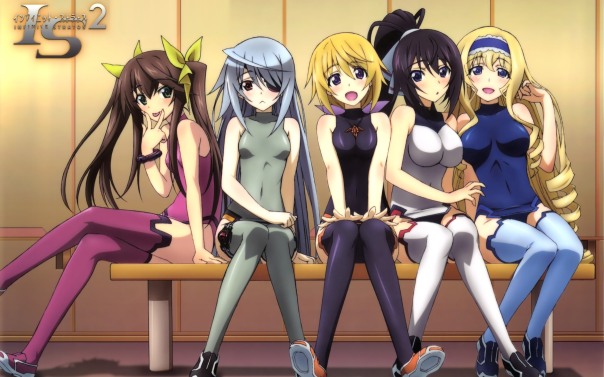 IS Infinite Stratos 2(Display Pic)